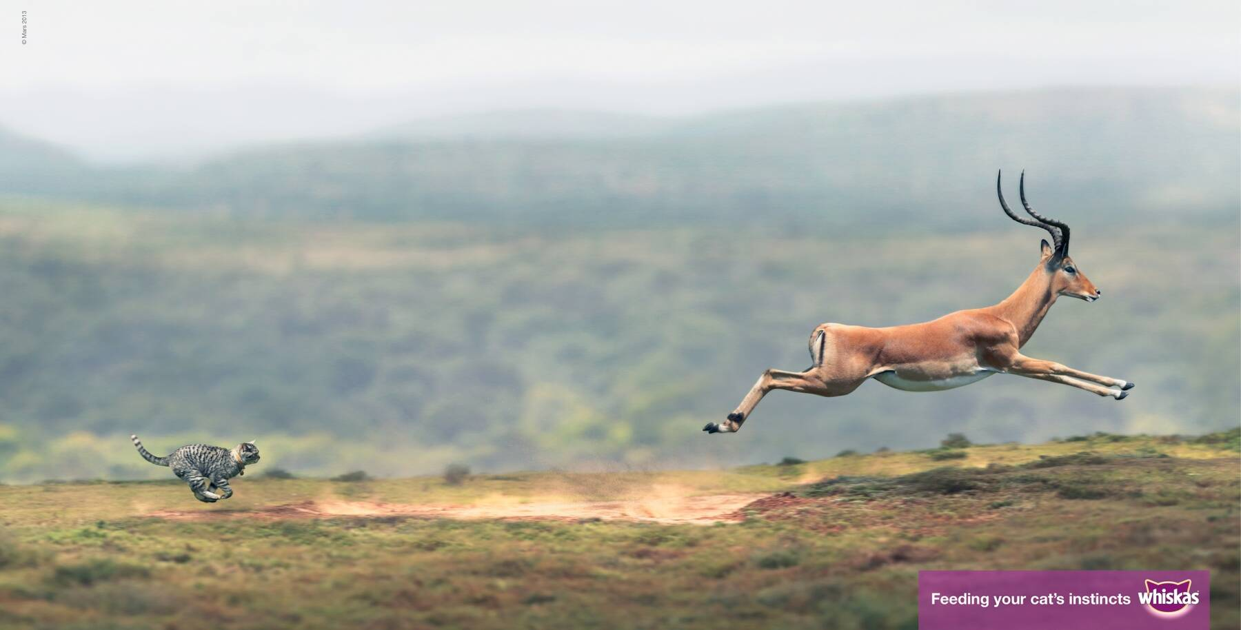 Whiskas - another best magazine ad