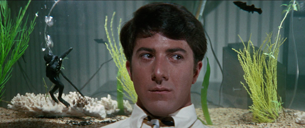 Zoom for Character Isolation — The Graduate (1967)