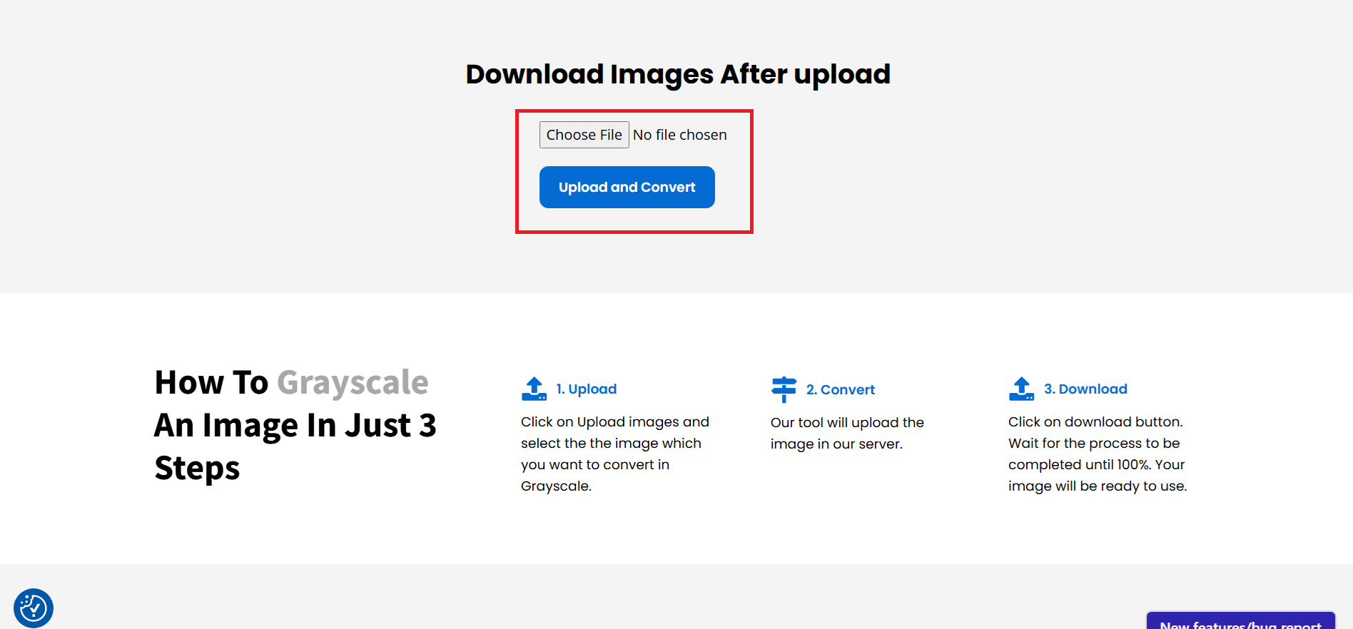 Converter a imagem em tons de cinza