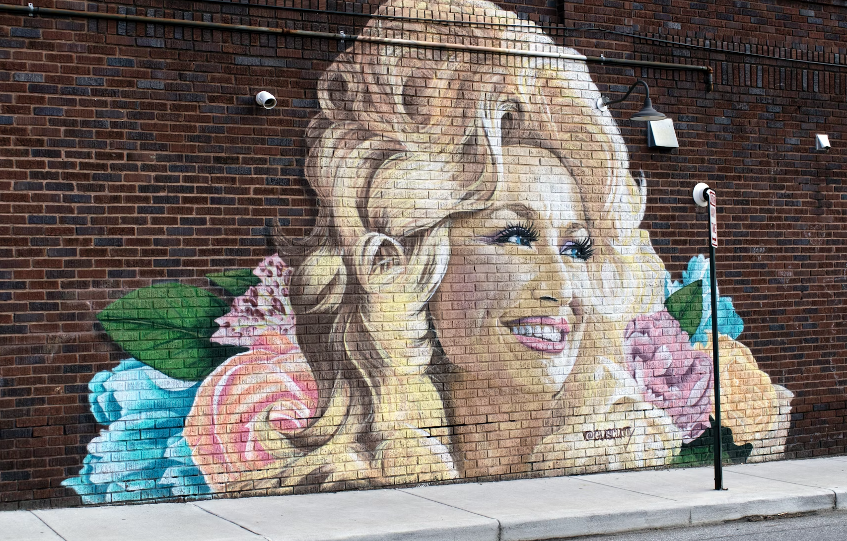 صورة نابضة بالحياة وفنية لدوللي بارتون ، تلتقط شعرها الكبير الأيقوني وابتسامتها المشرقة.