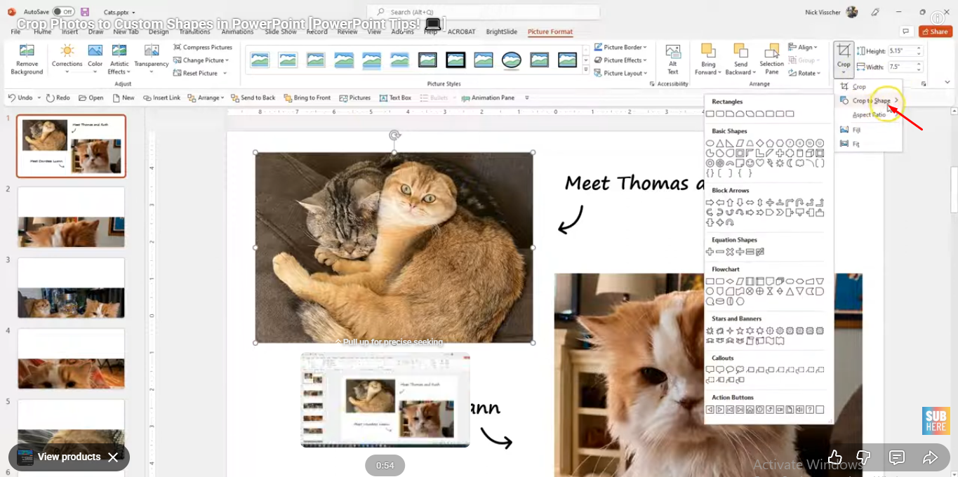 Choosing the crop to shape option in PowerPoint