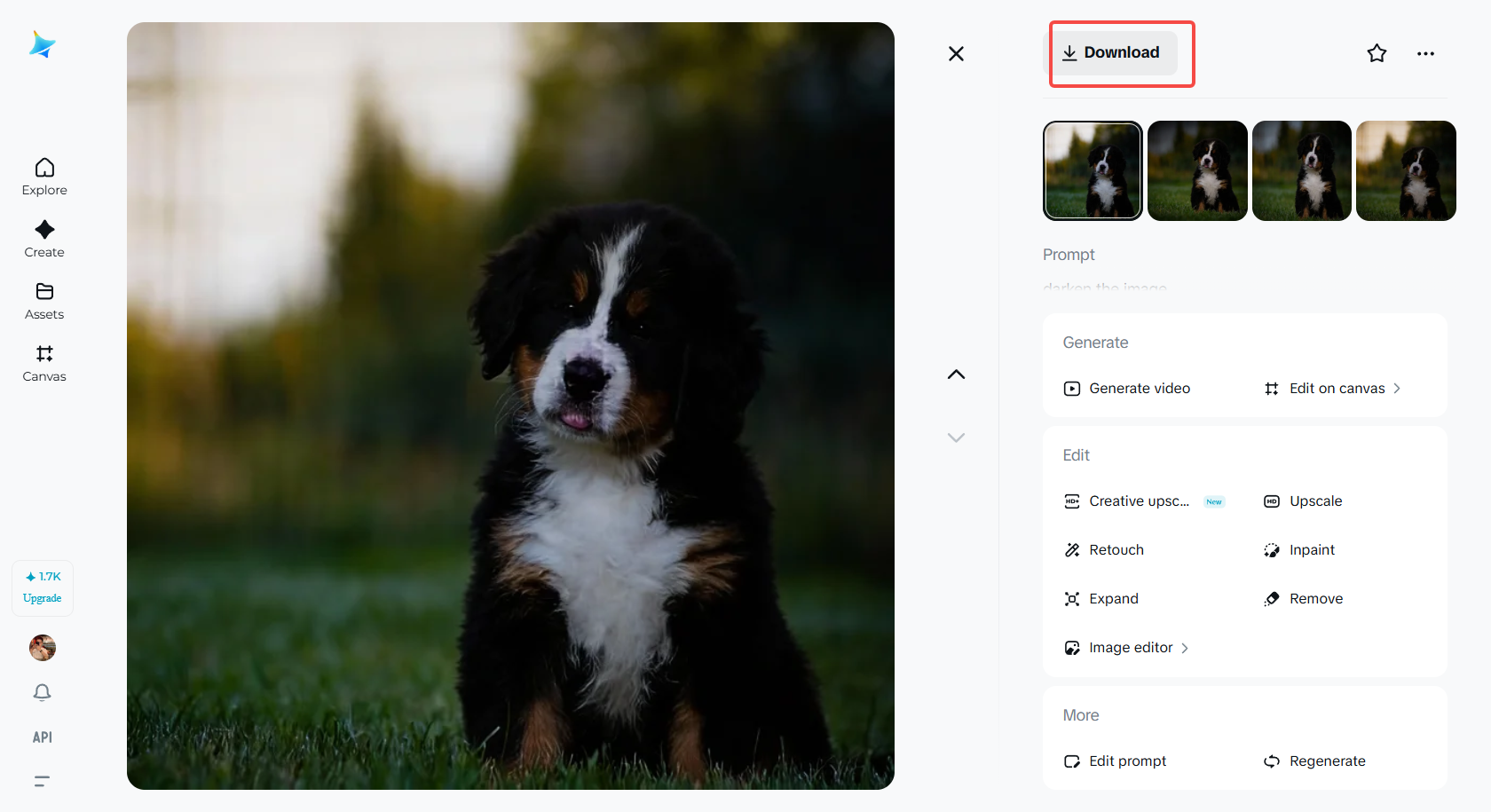 Downloading the darkened photo in Dreamina