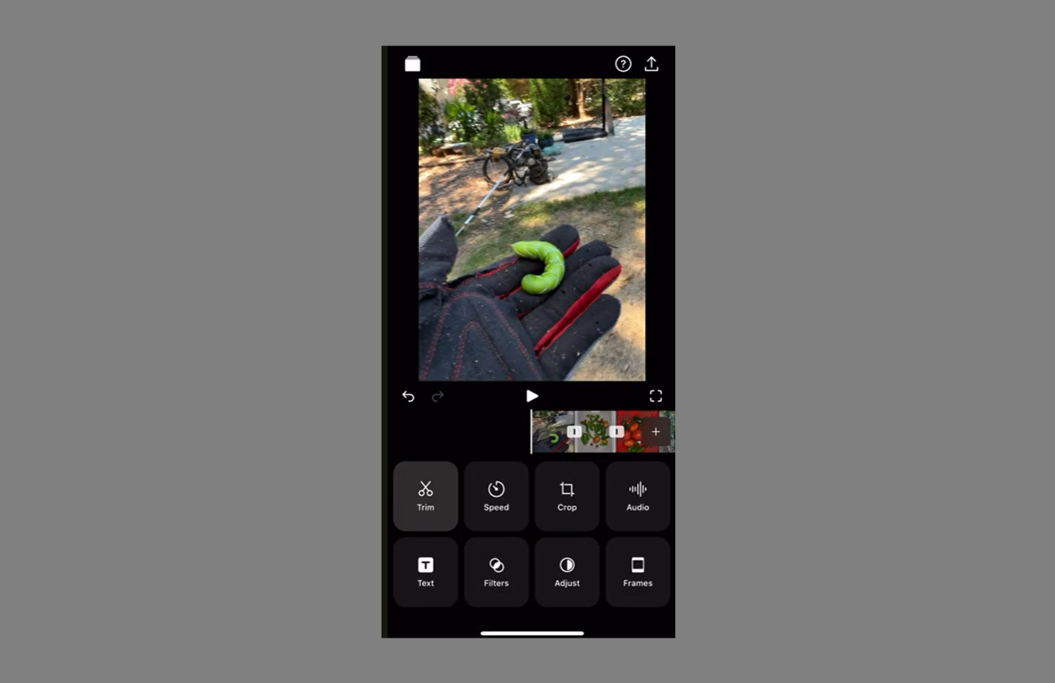 Vixer best app for video making