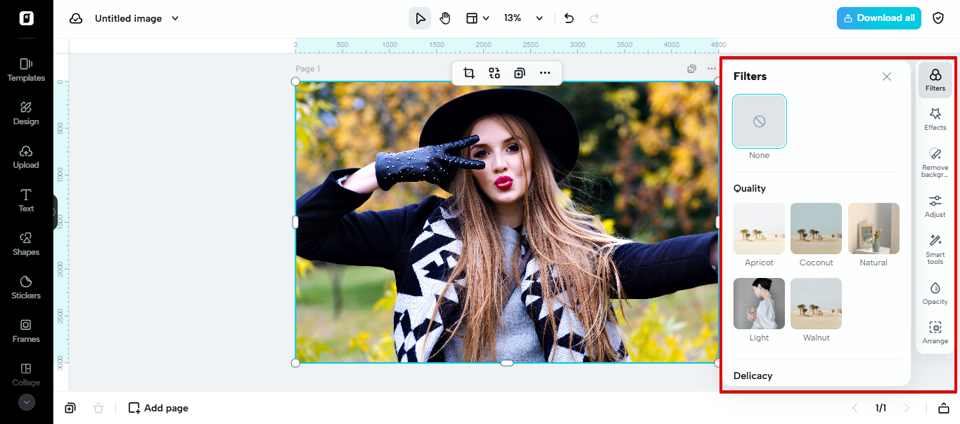 Editing space in Pippit