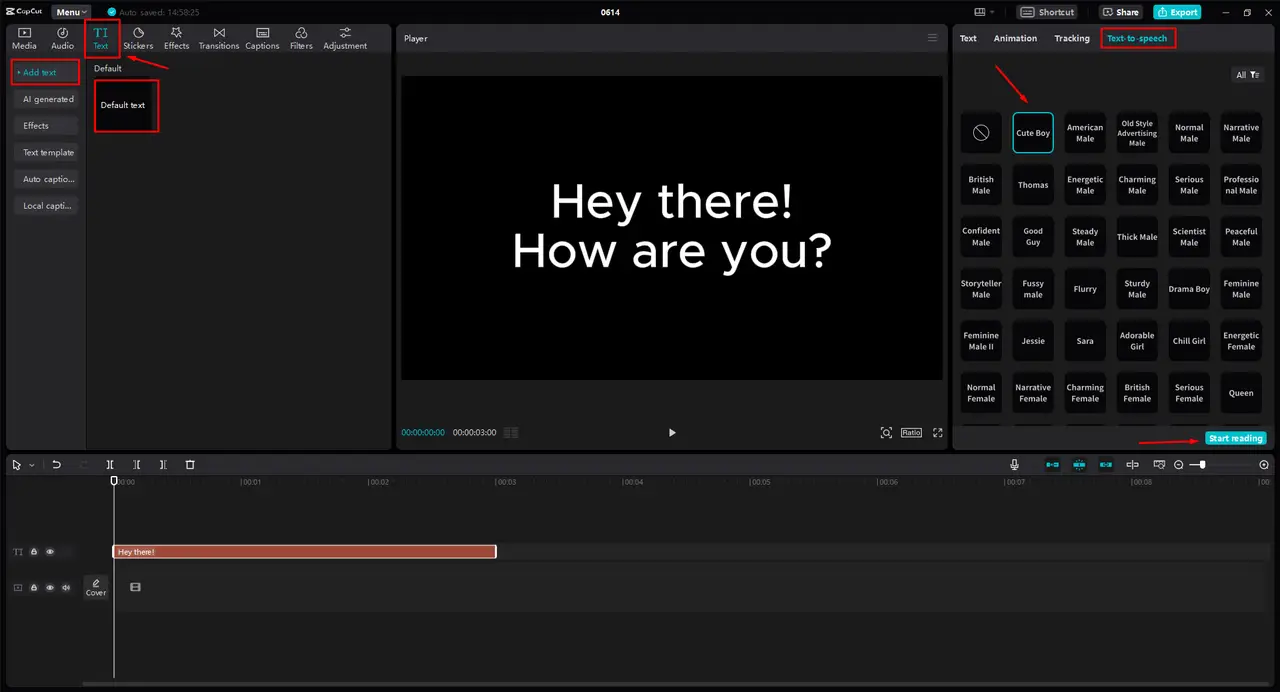 Customize the Voice
