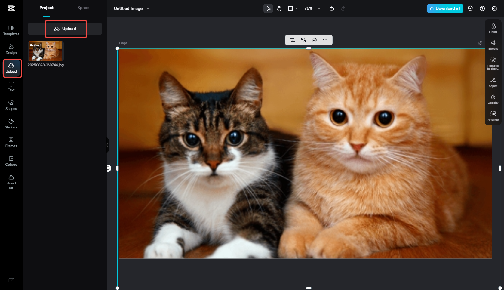Upload an image to CapCut
