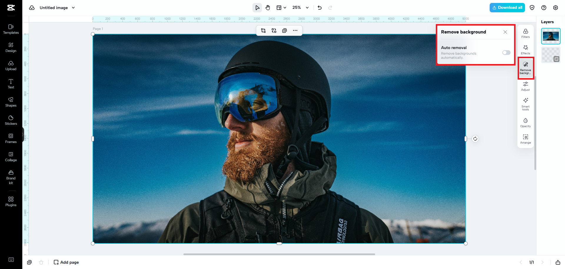 Remove the image's background