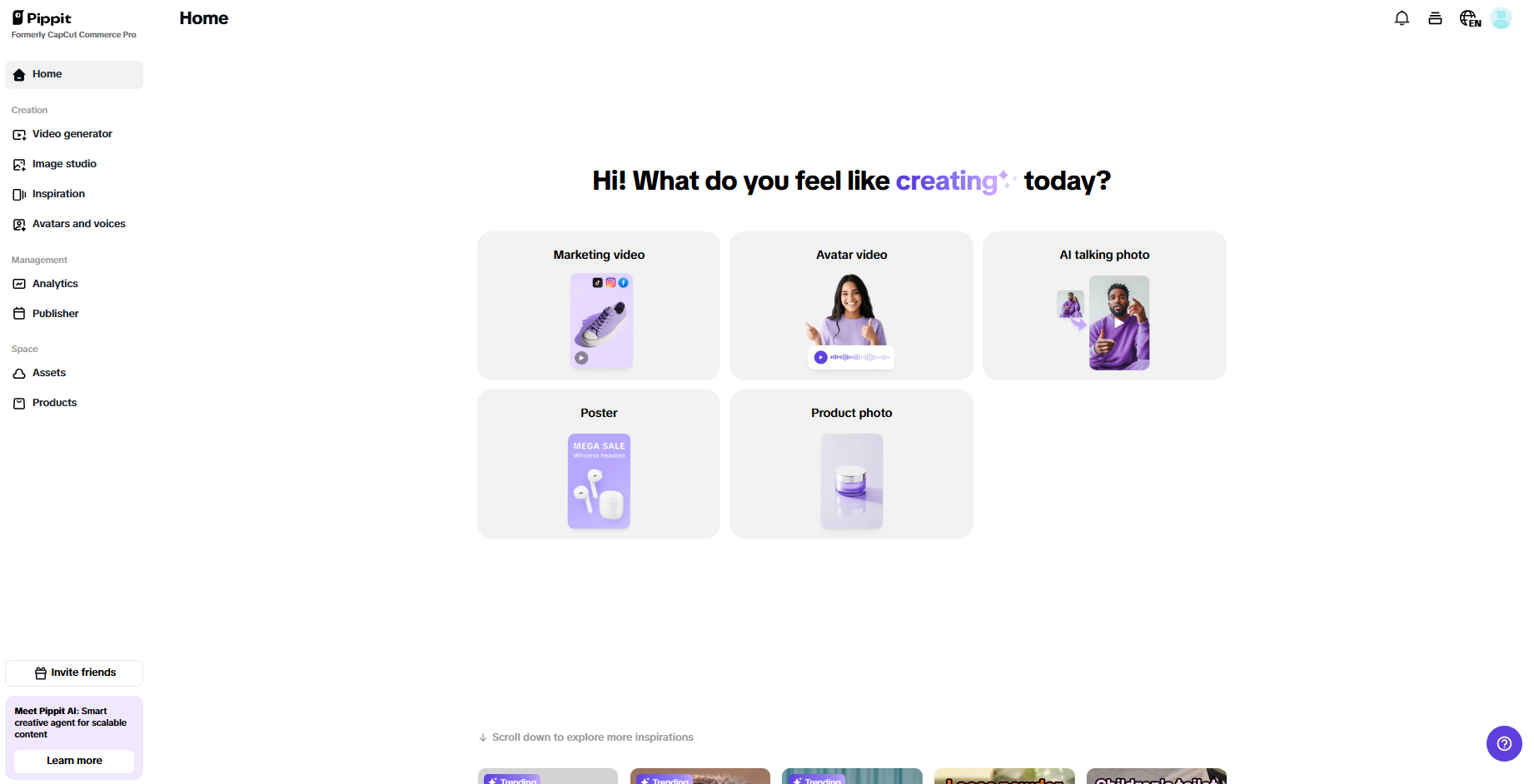 Pippit interface