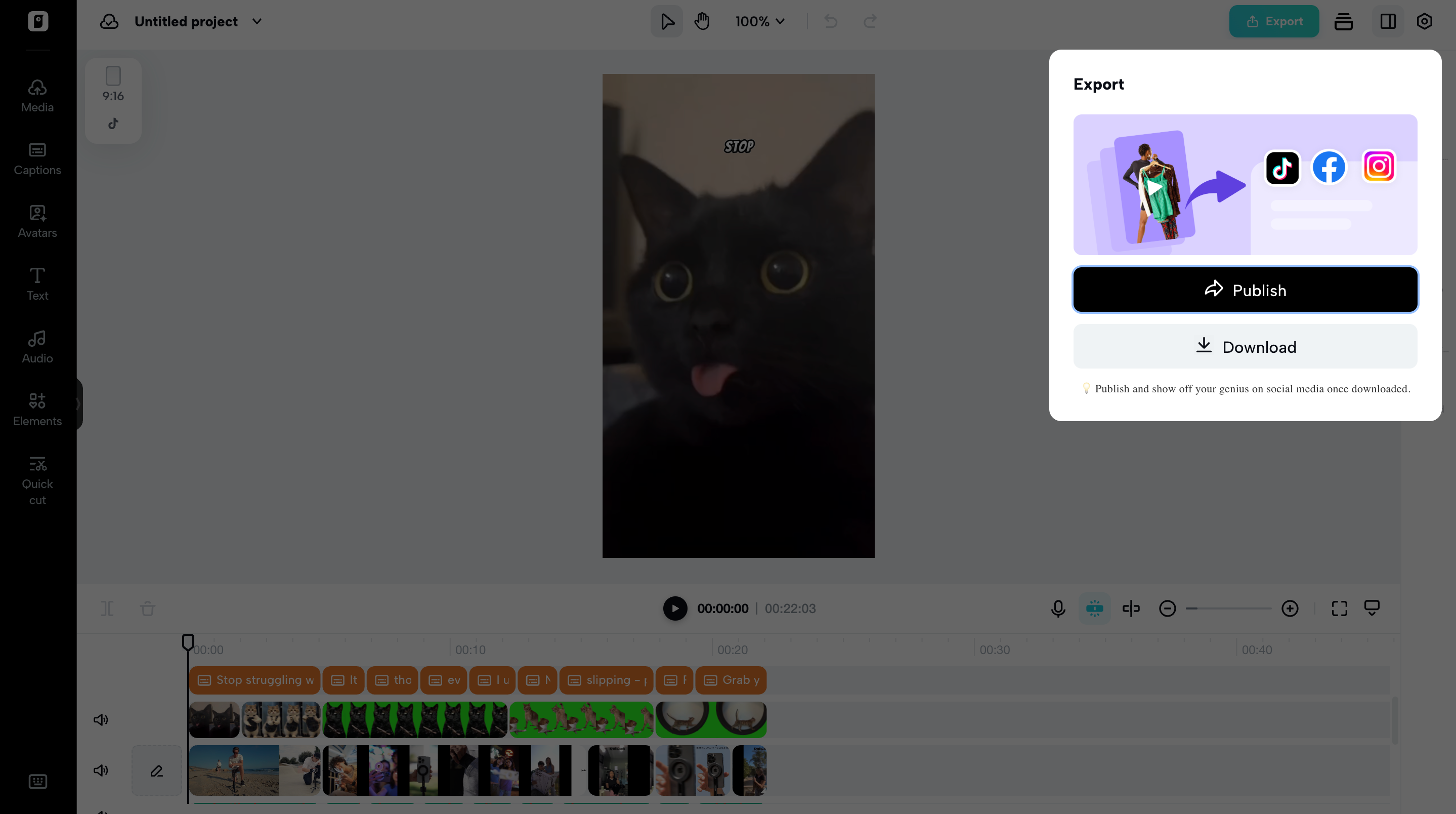 Export your video