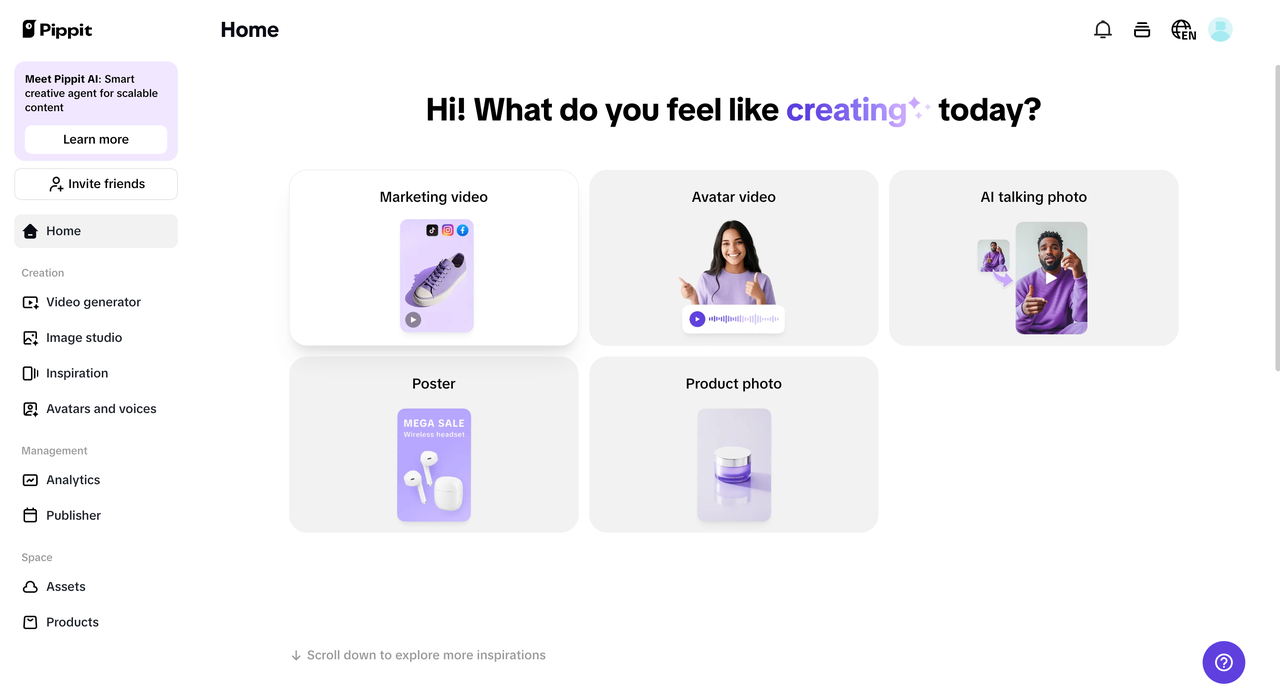 Pippit interface