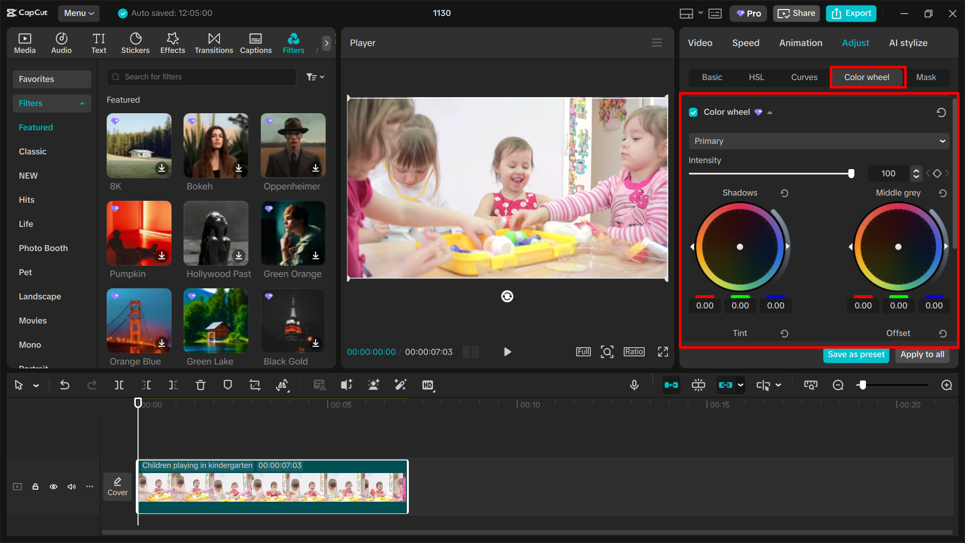 Using the color wheel in CapCut