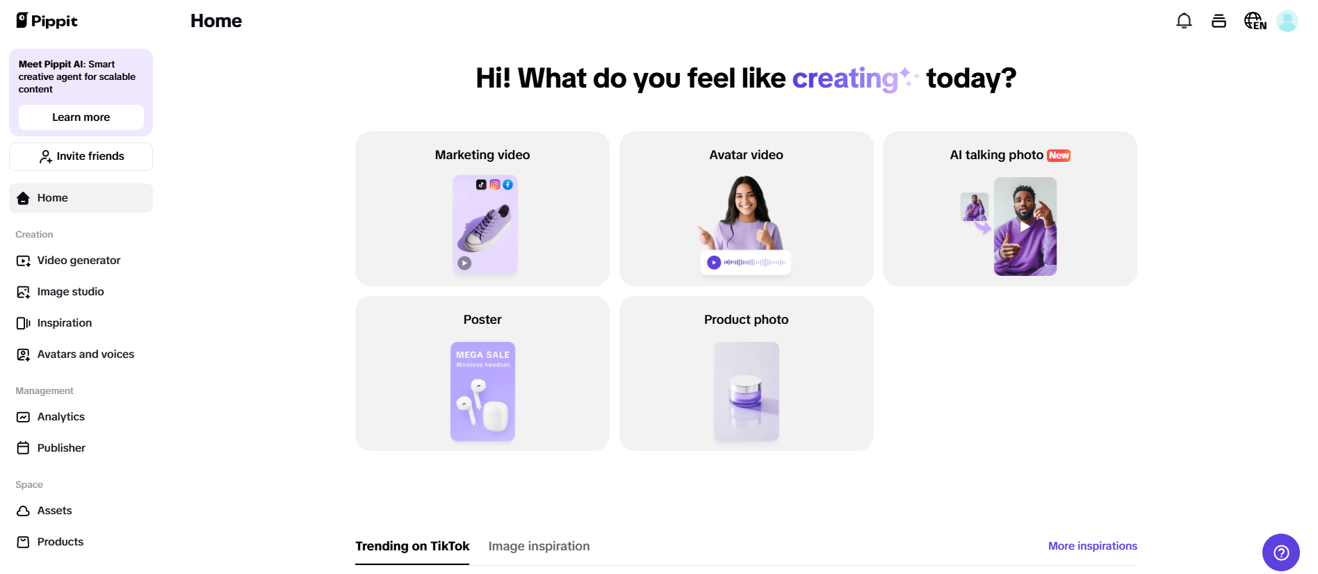 A interface do Pippit