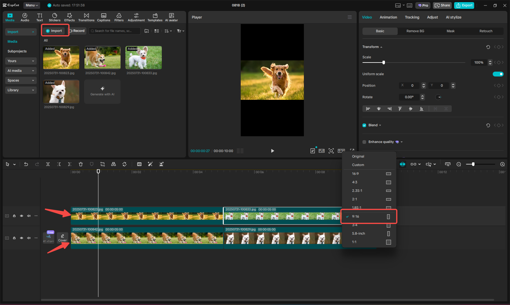 Import images and places in different layers
