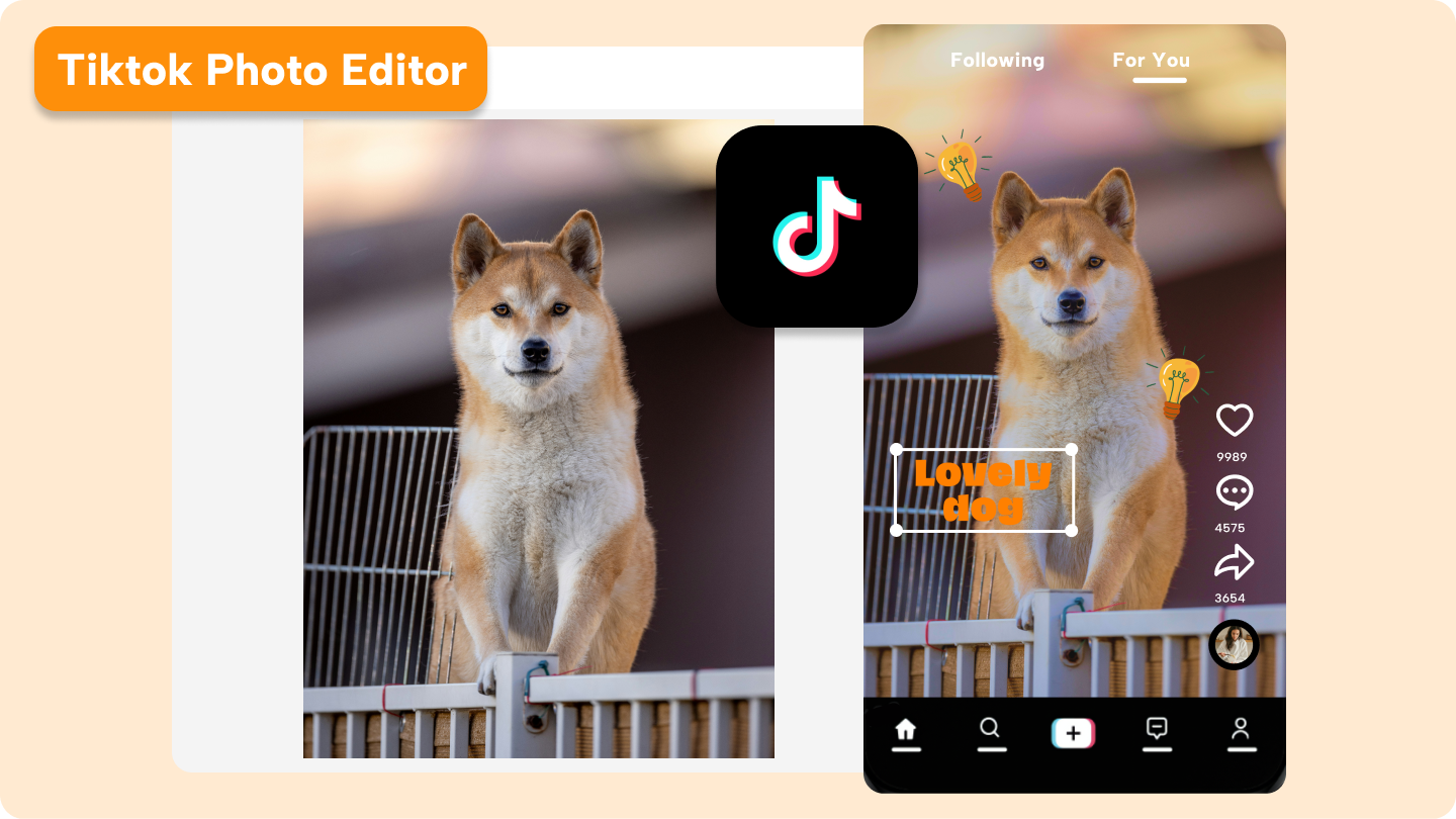 tiktok photo editor