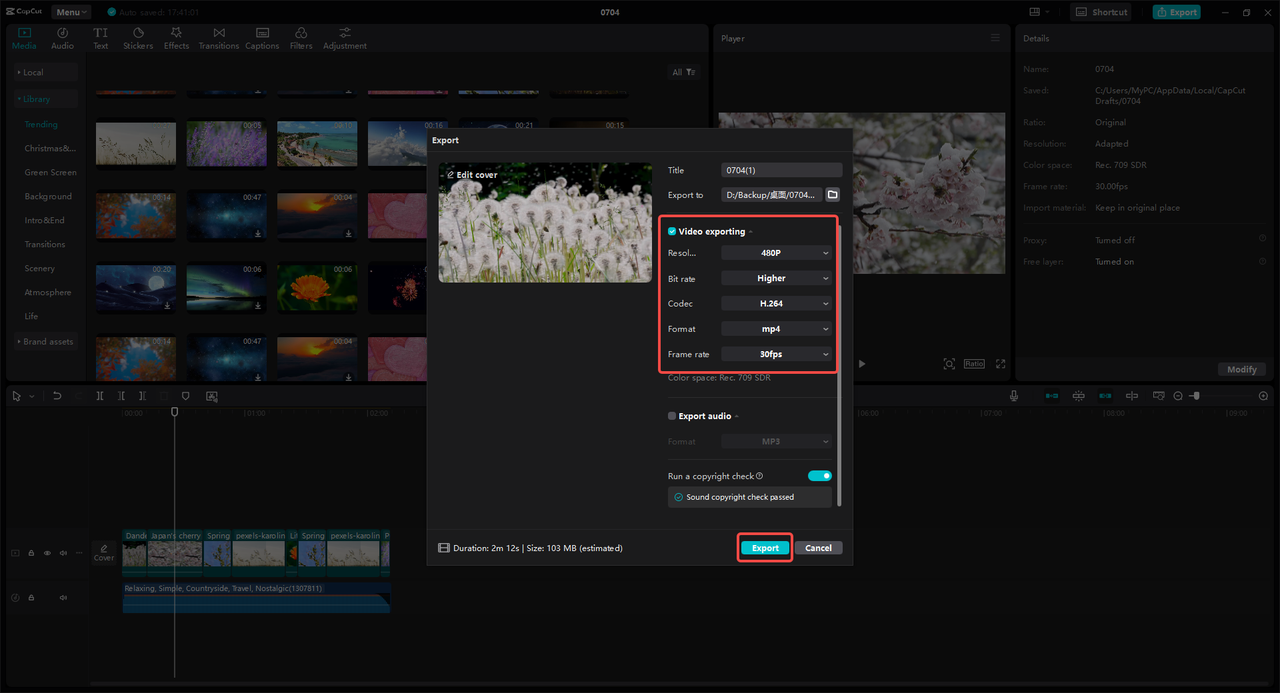 Export the video