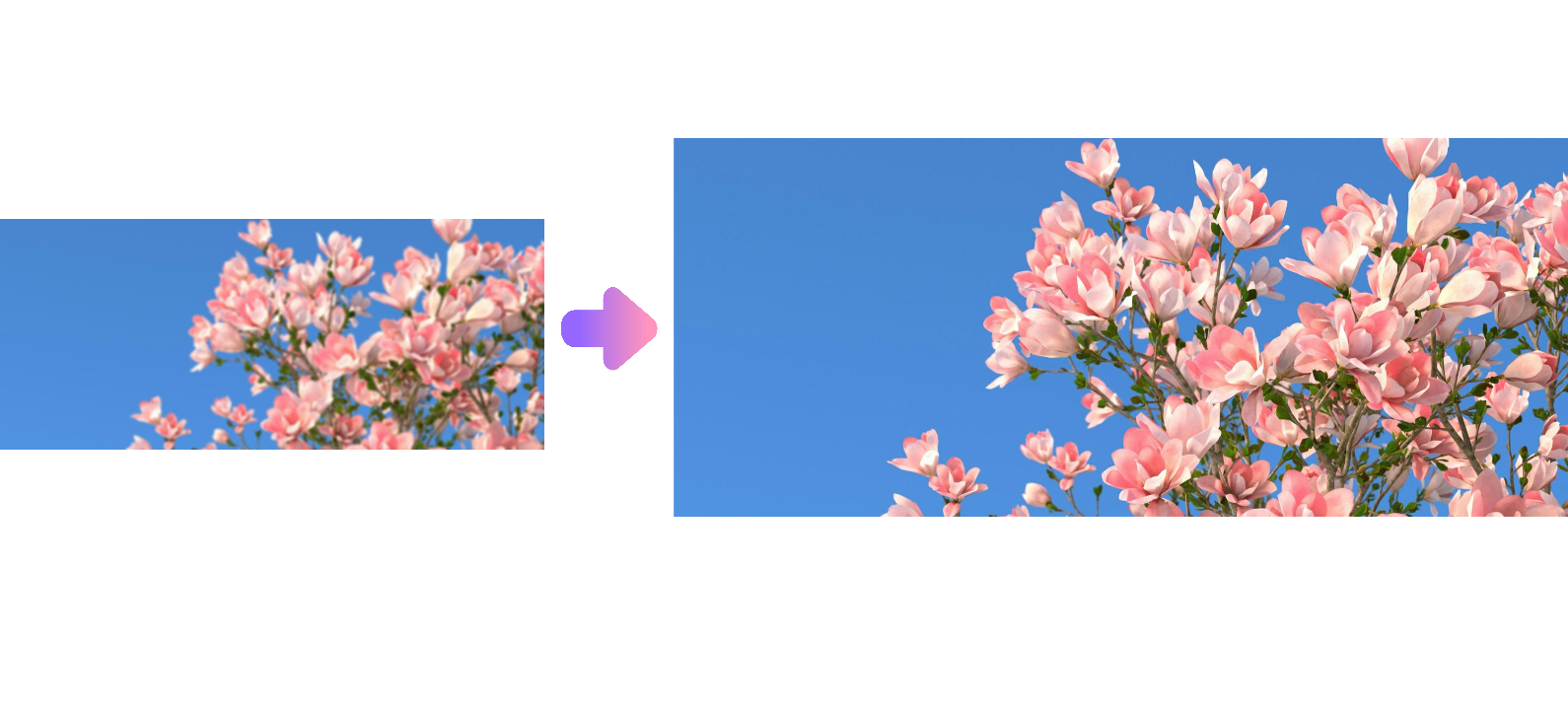 HD exklusivt