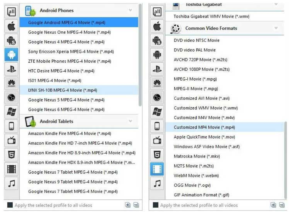 Any Video Converter