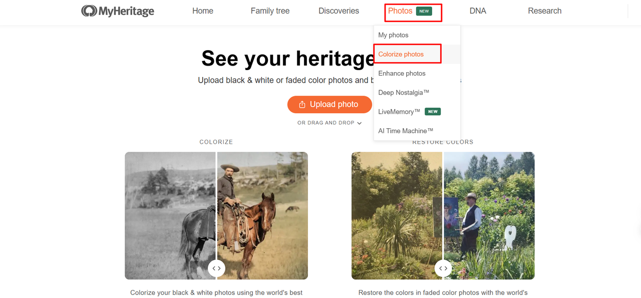 myheritage photo enhancer cost