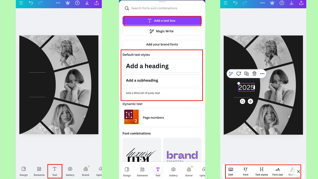 Input text and customize
