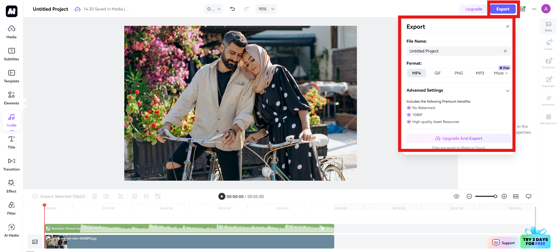 Preview and download