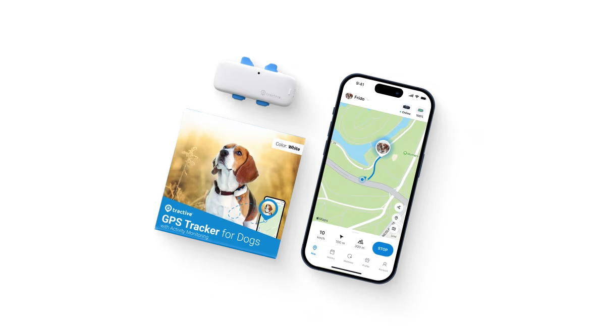 Tractive - วิดีโอปลอกคอสุนัข