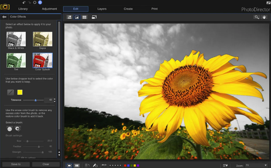 Photo Director