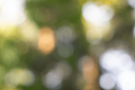 Soft circular bokeh