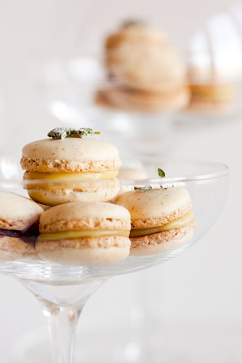 Macro shot showing food textures in YouTube food shorts