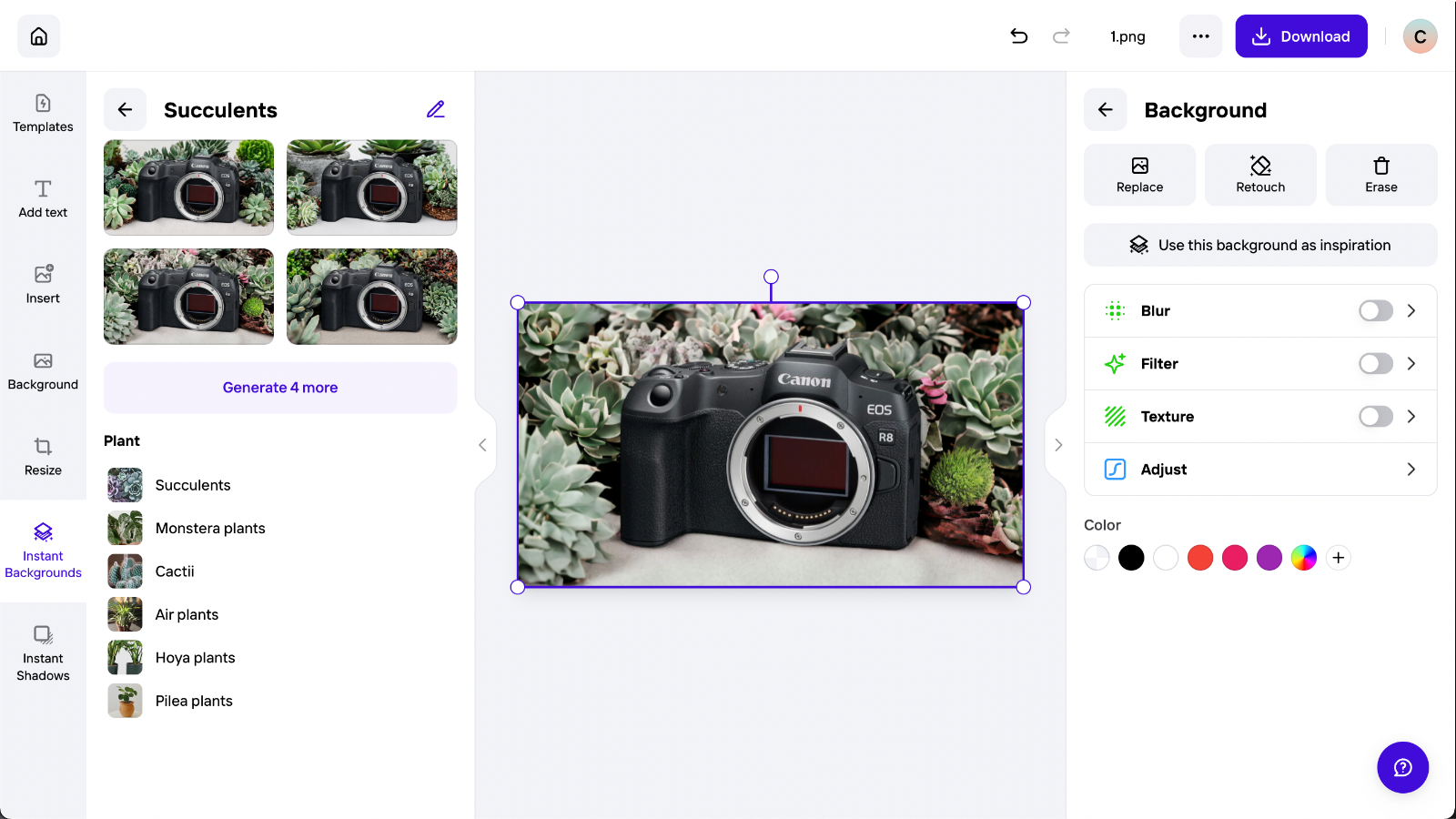 Editor interface of Lightroom