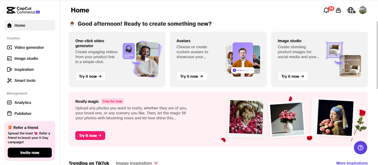 Pippit's interface