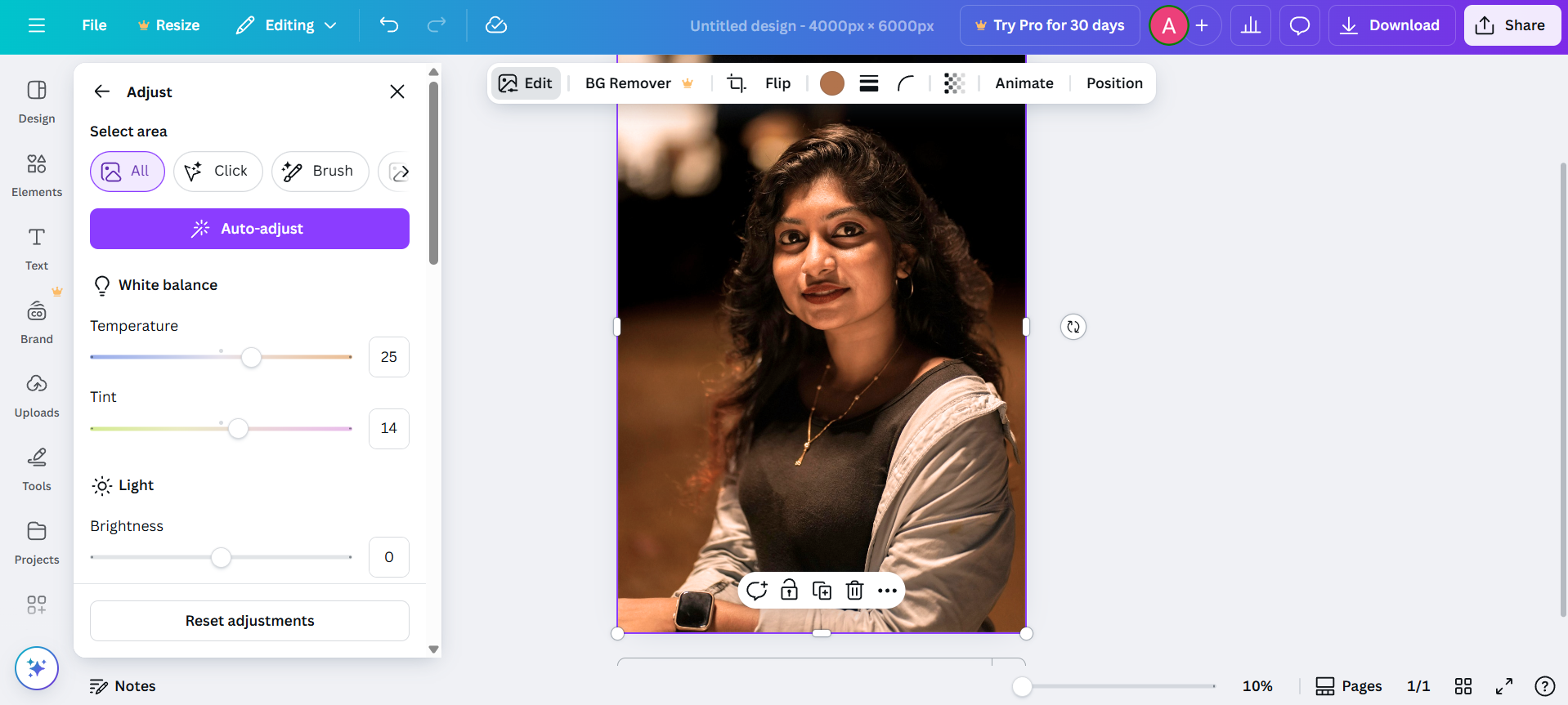 Canva portrait editor interface