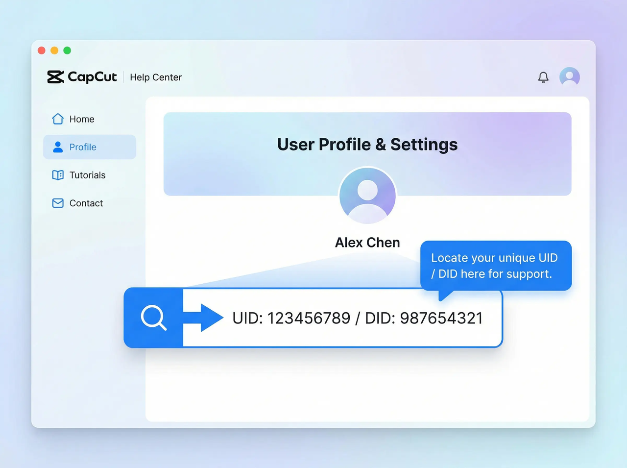 UID and DID in CapCut