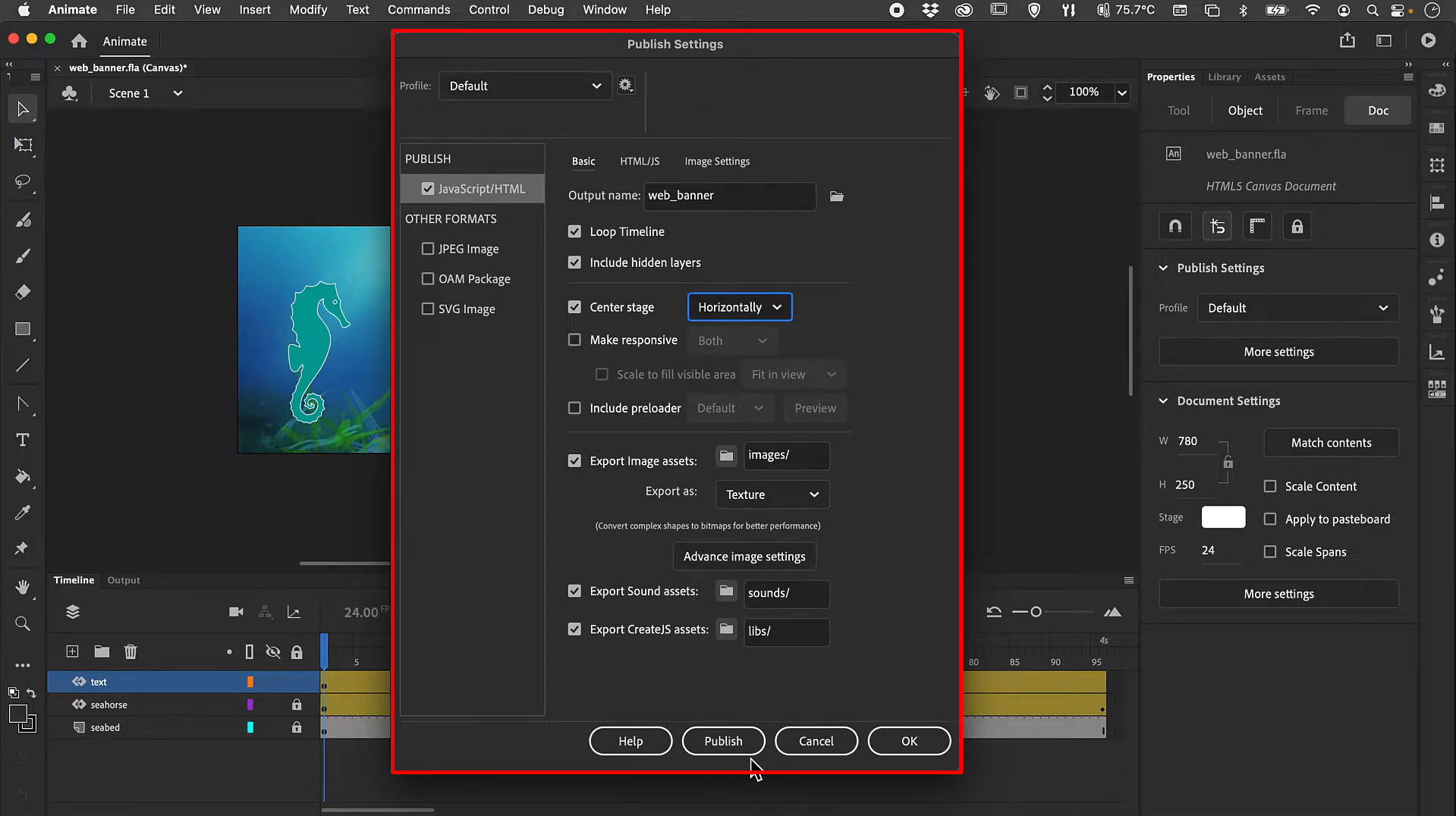 Adjusting settings before publishing the animation from Adobe Animate