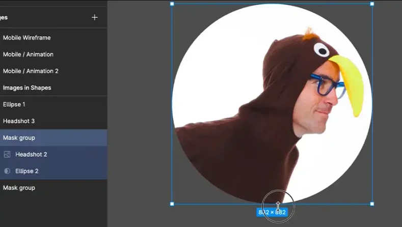 Adjust shape and image