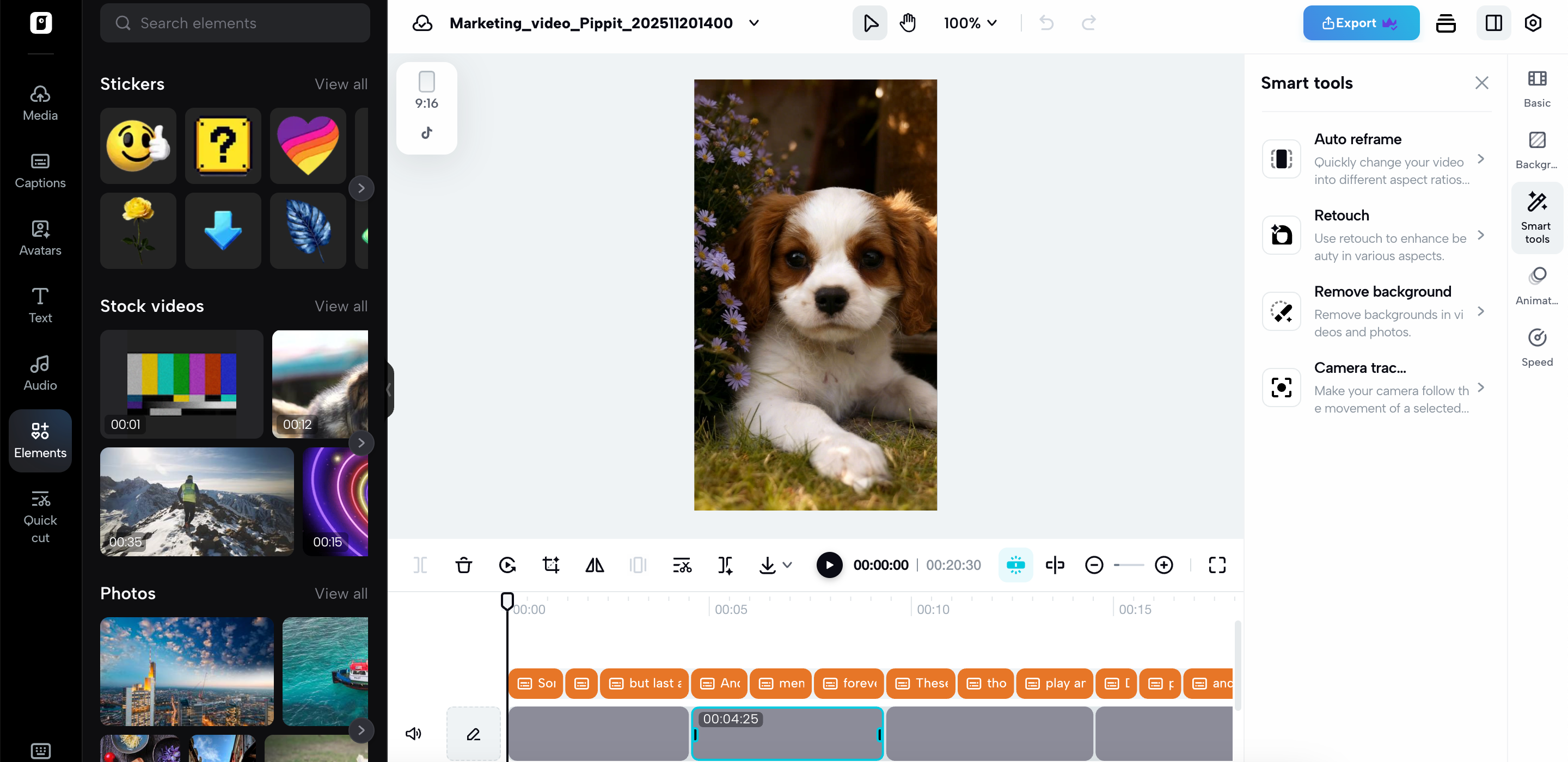 Editor de vídeos no Pippit
