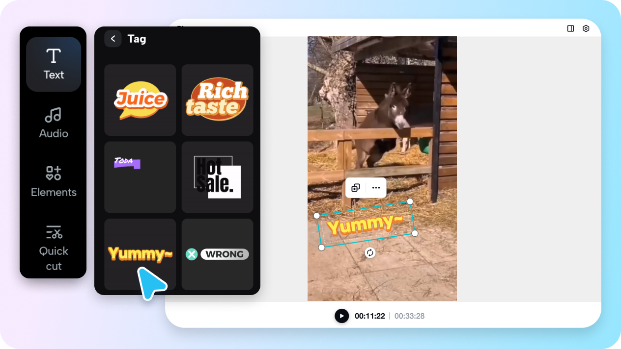 Customizable text, fonts, and animations