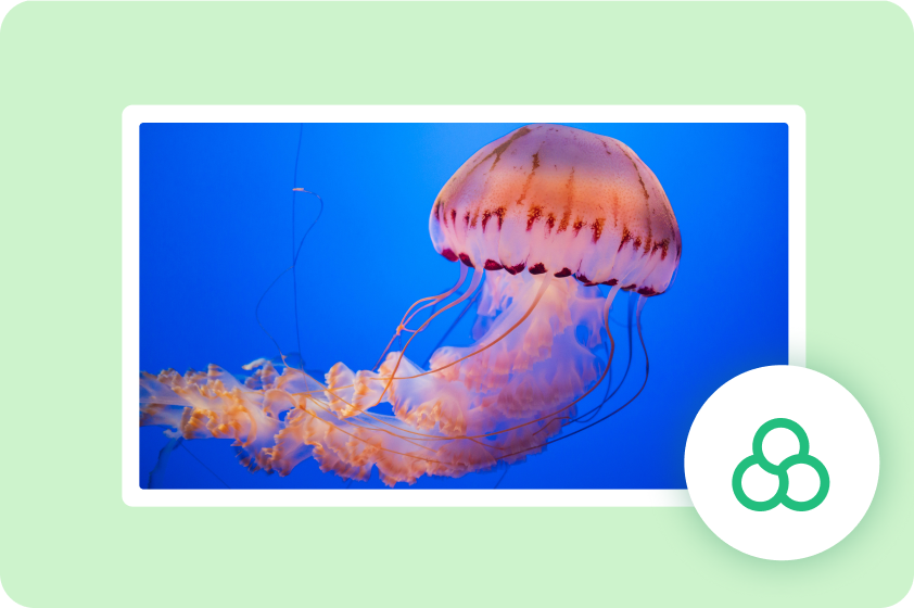 初心者に優しいAIカラーコレクションツール