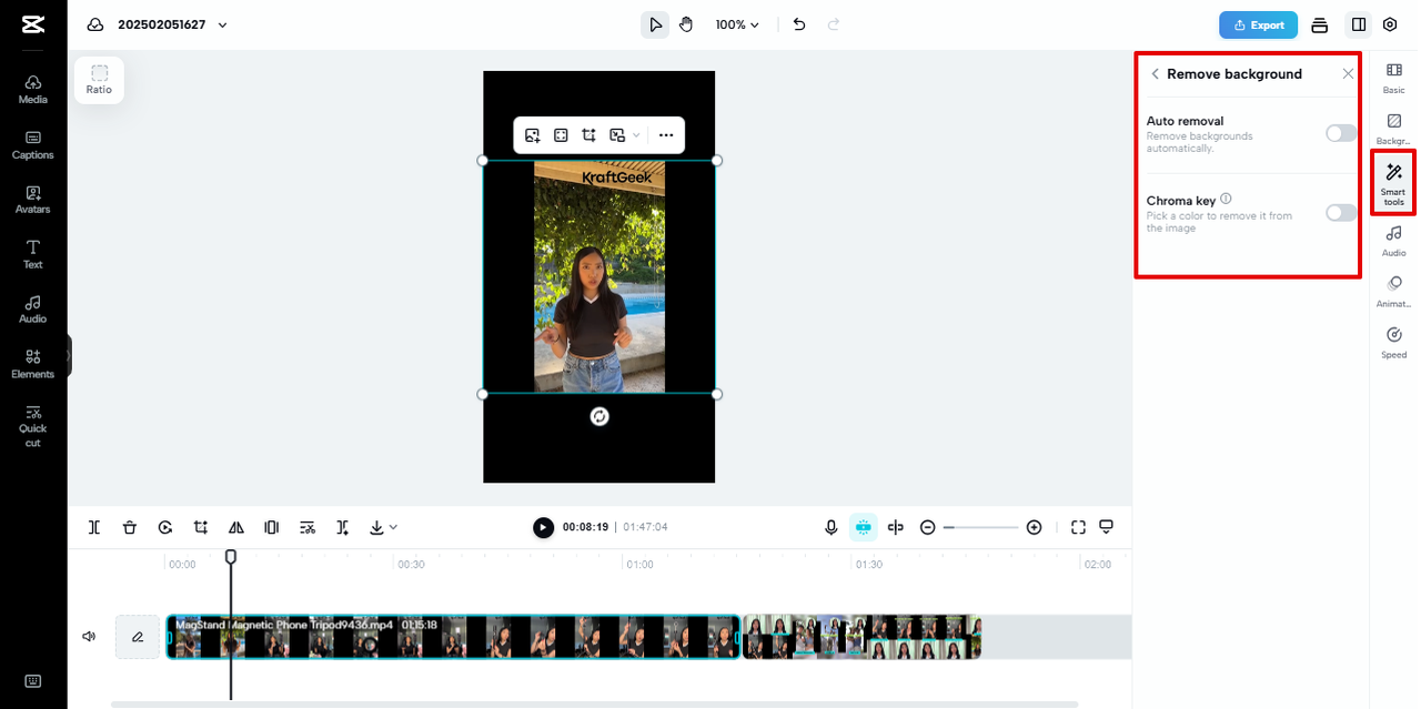 remove background Pippit