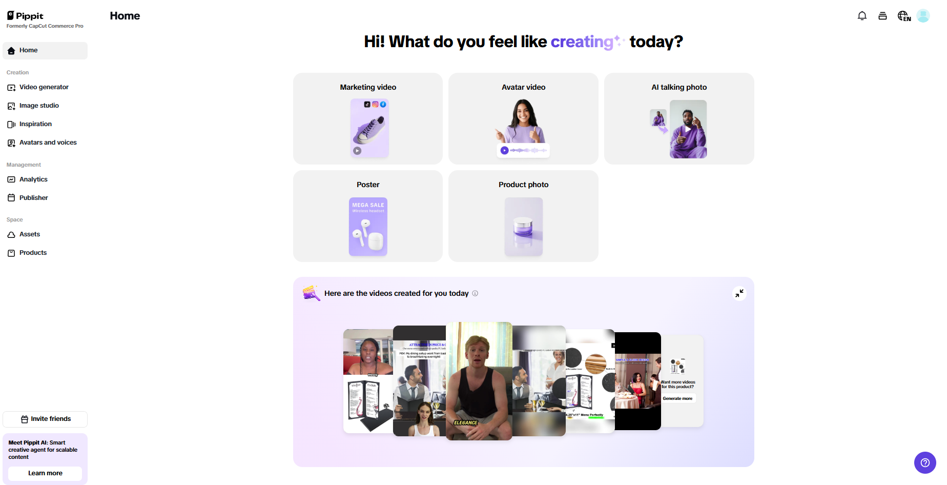 Pippit's homepage