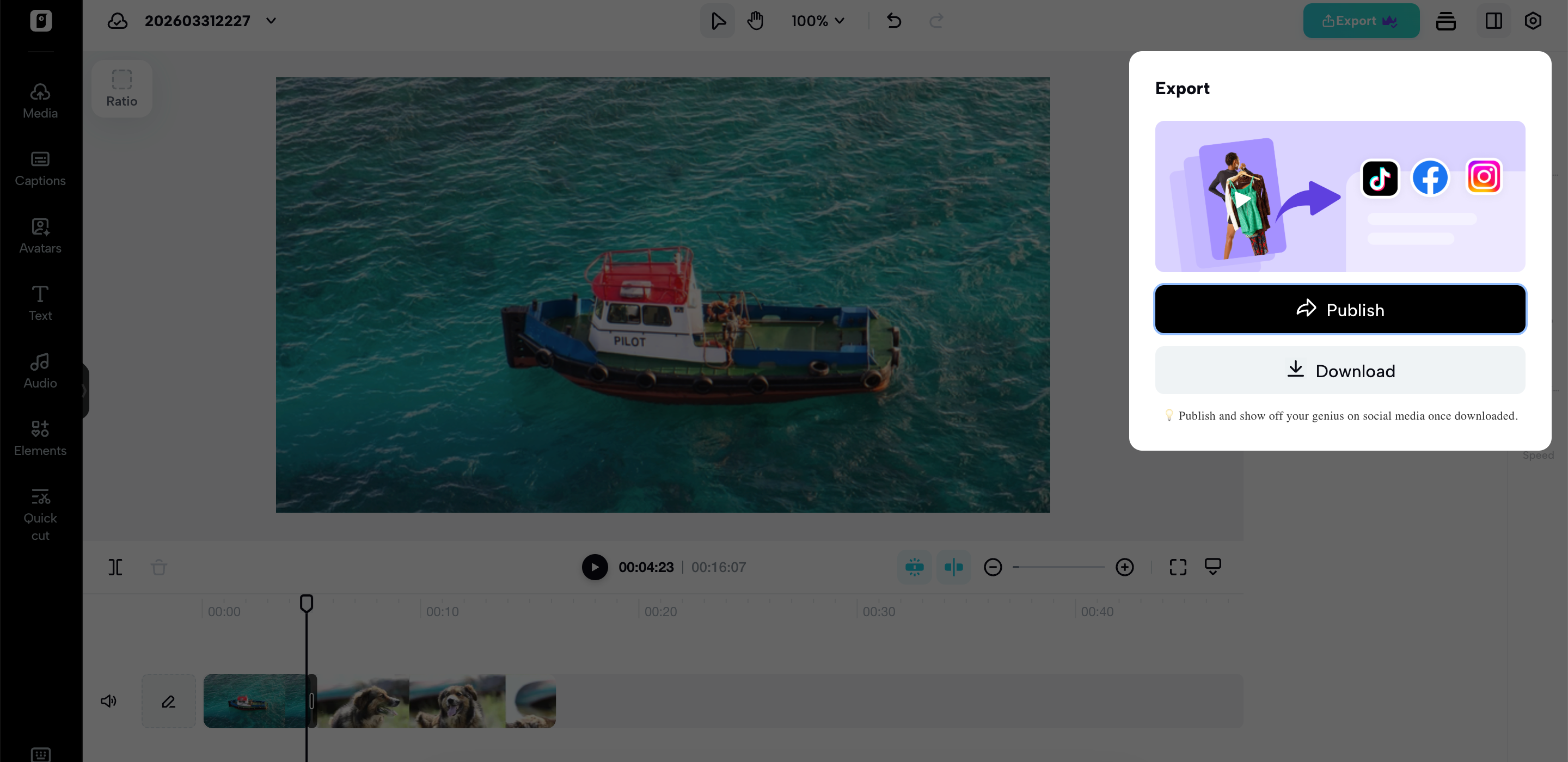 Preview and download