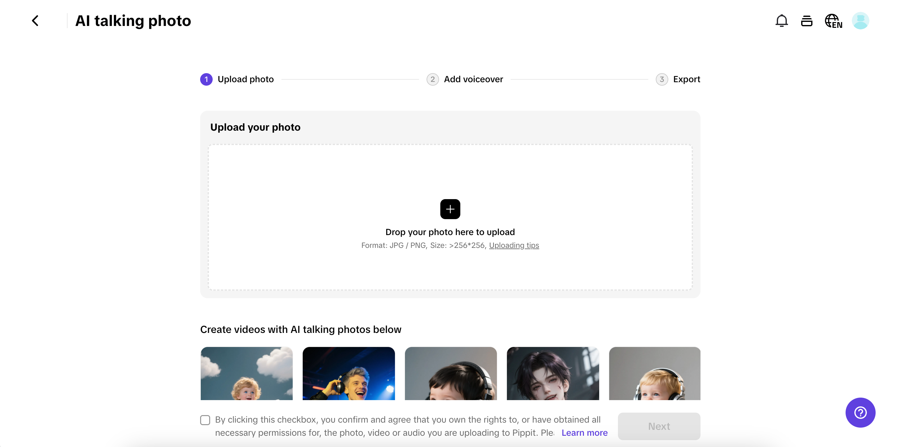 Pippit interface