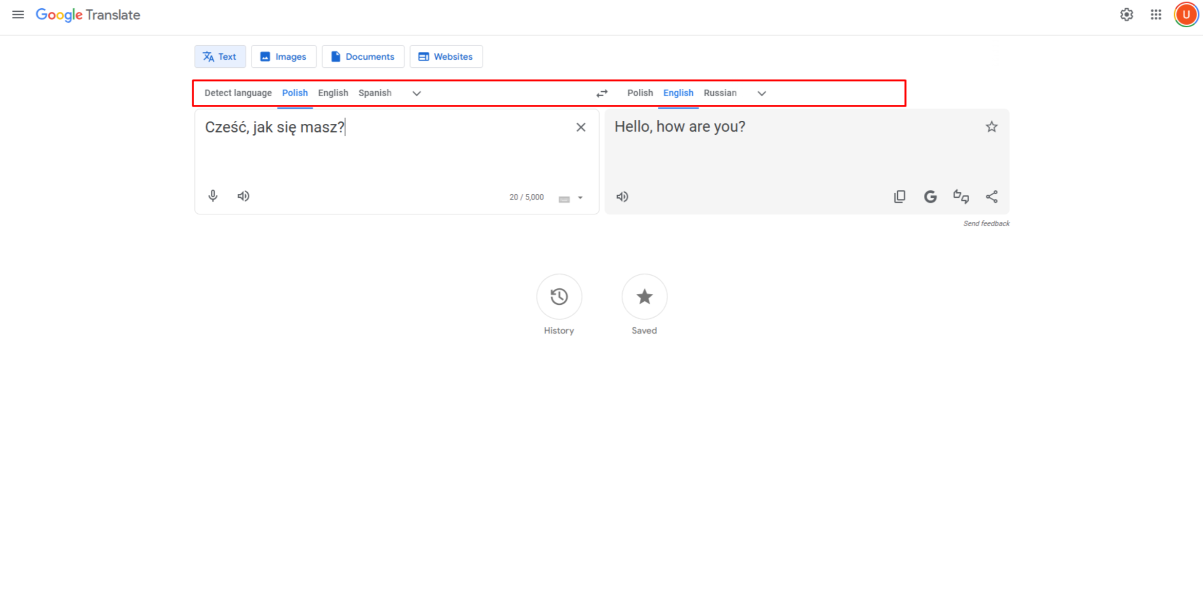 Using text input to translate Polish to English on Google 