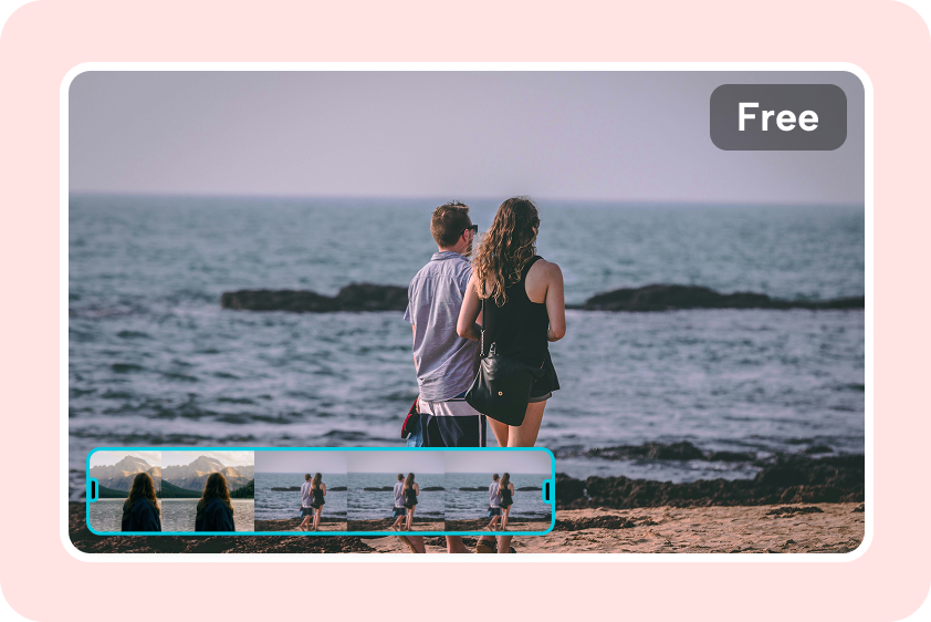 Access all the tools for free