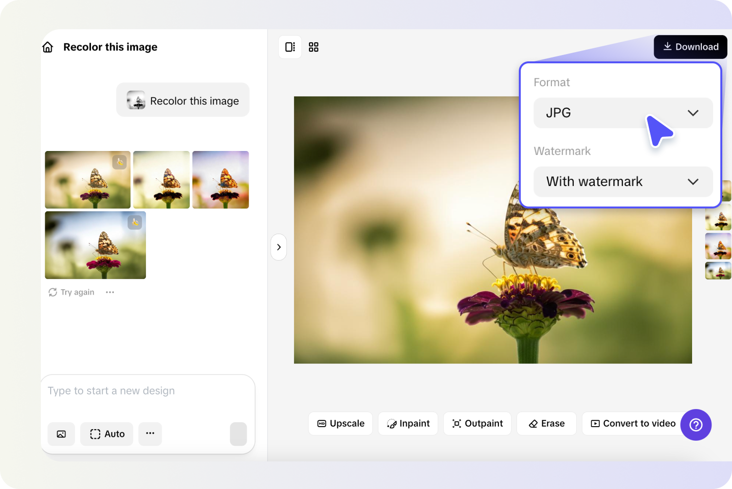 Exporting recolored picture from Pippit