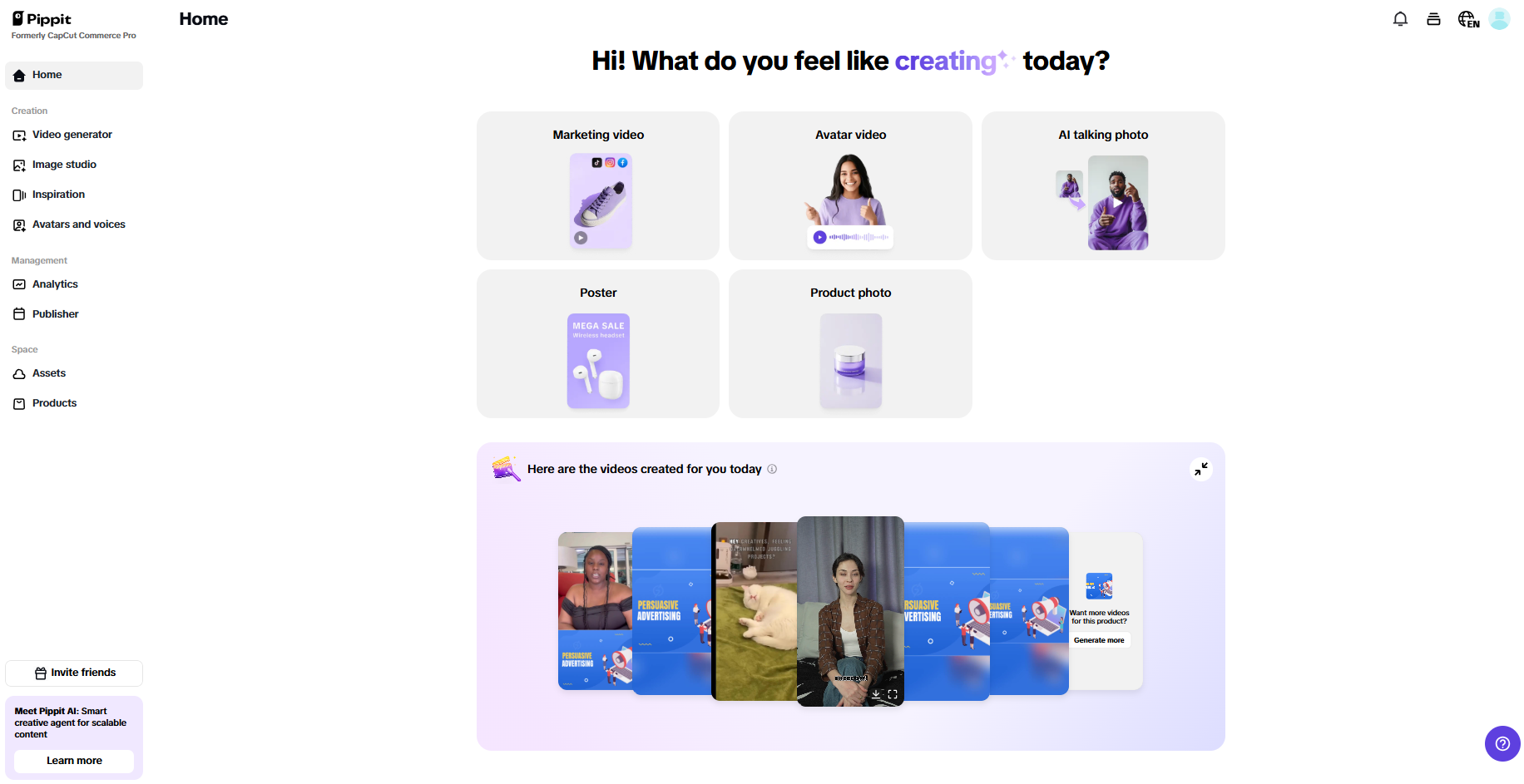 Pippit interface