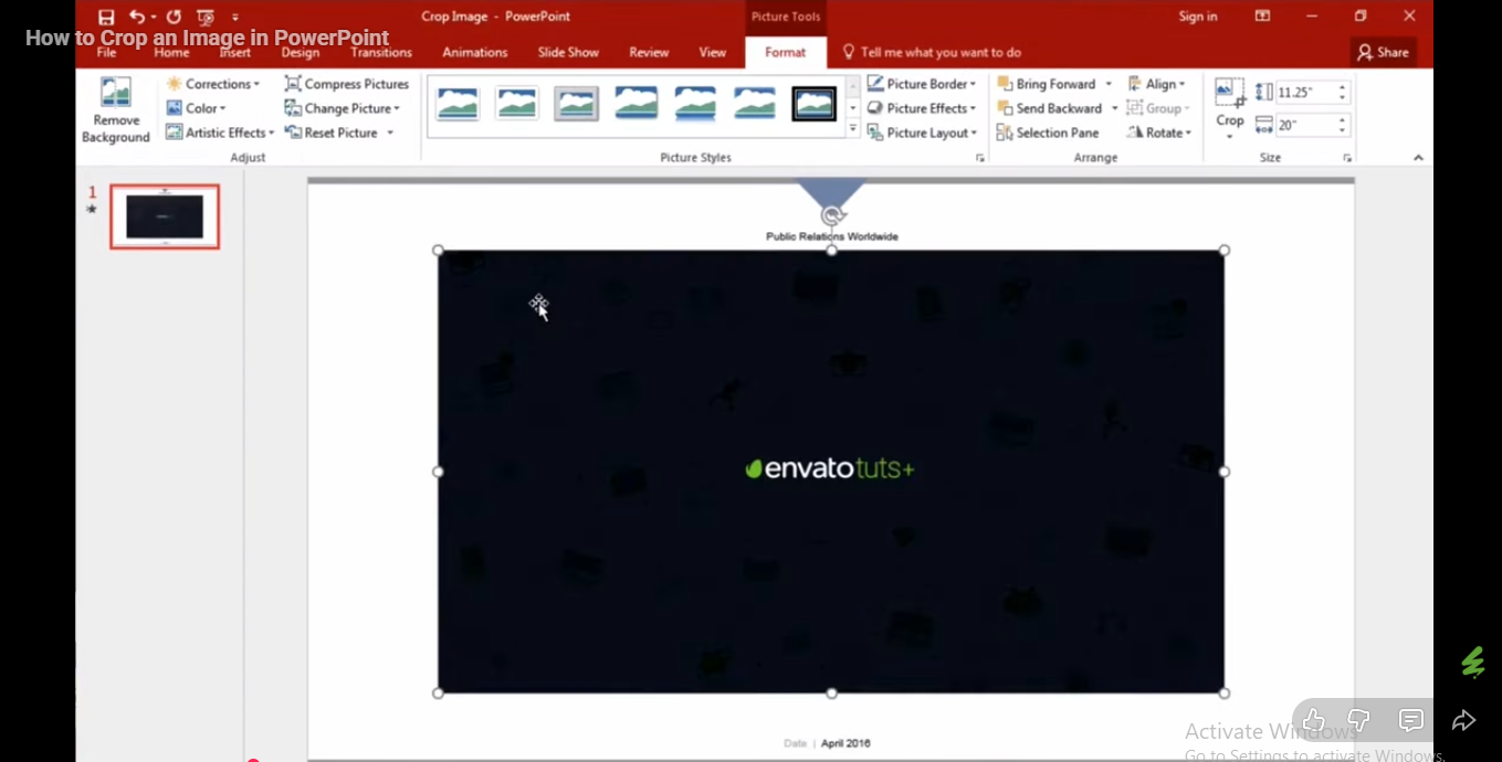 Inserting and selecting the image in PowerPoint