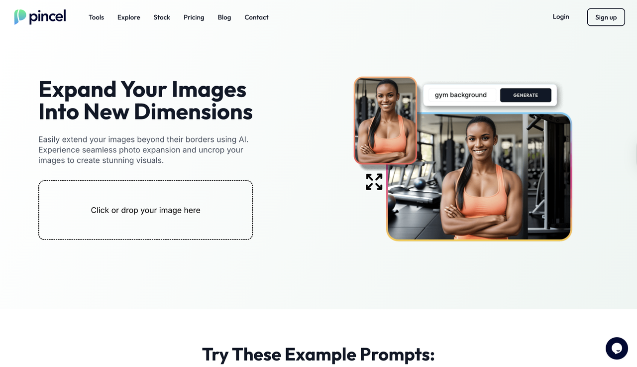 Pincel AI interface