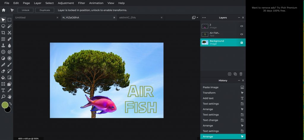 Pixl E and X - text in the image editor tool