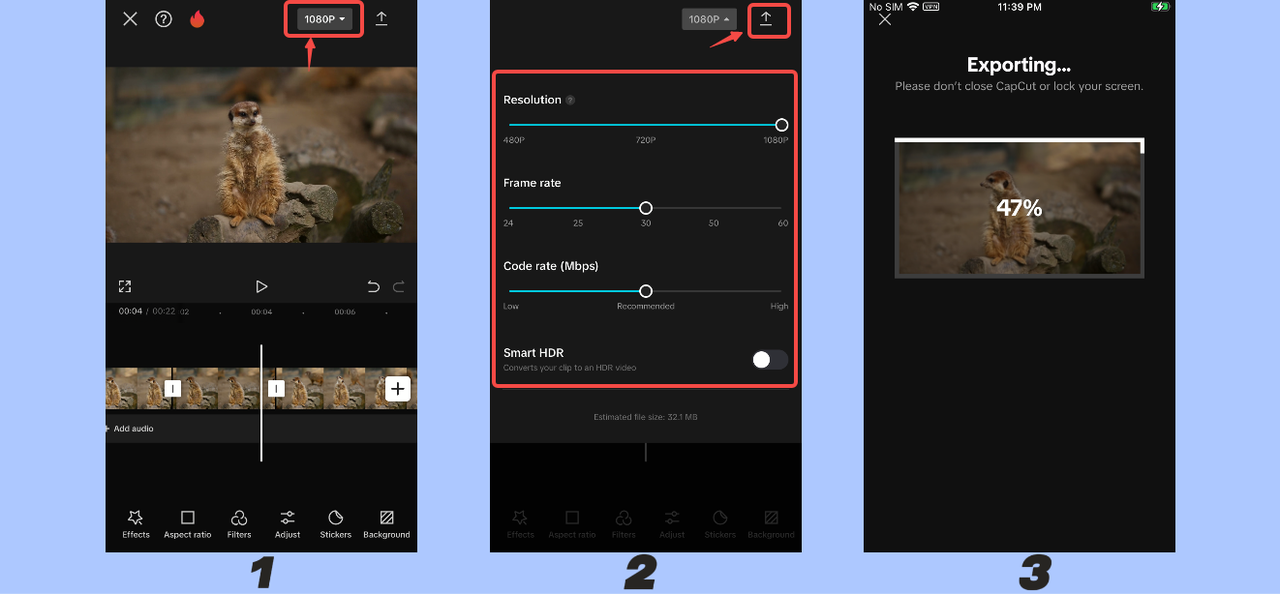 Export TikTok video