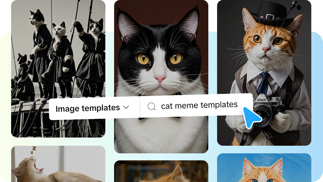 Access range of templates for cat meme inspirations